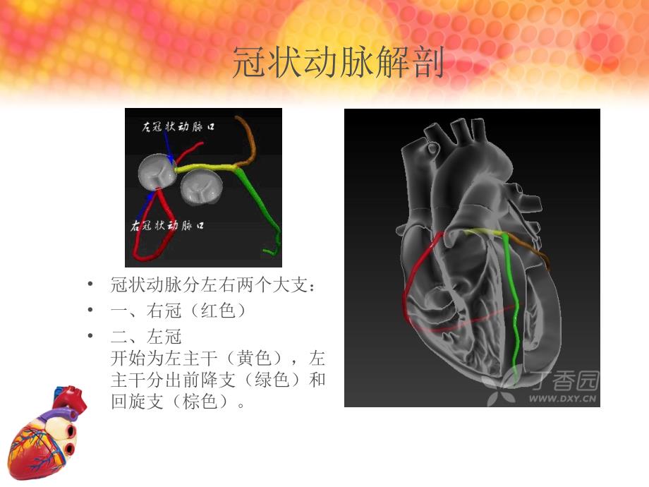 急性心肌梗死罪犯血管心电图判断_第3页