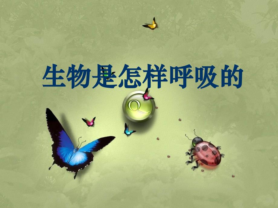 生物是如何呼吸的_第3页