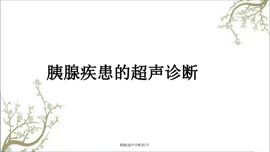 胰腺超声诊断医学课件_第1页