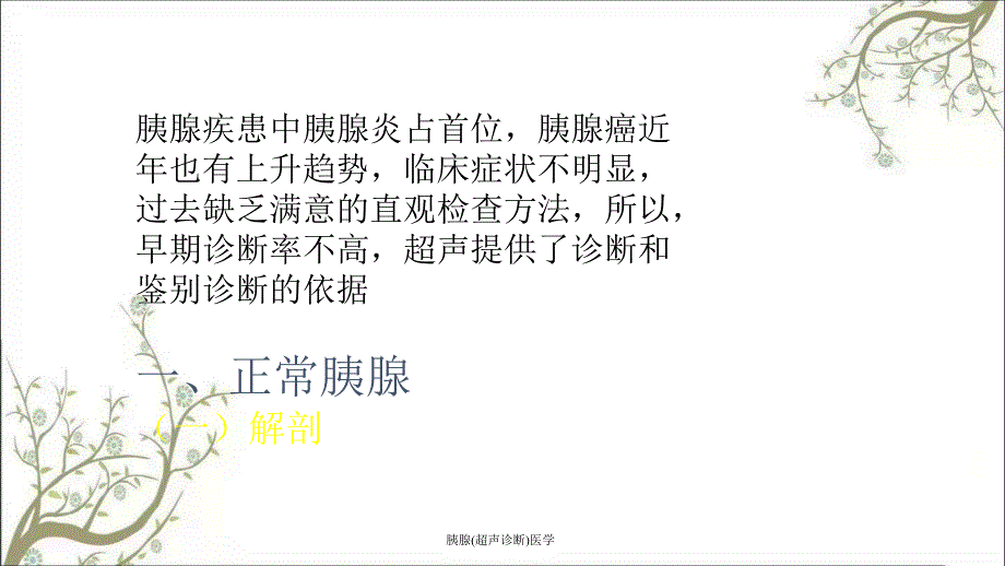 胰腺超声诊断医学课件_第2页