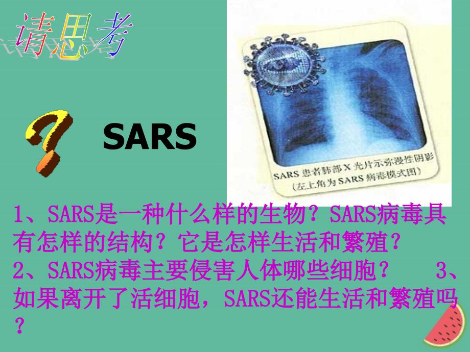 四川省成都市高中生物 第一章 走近细胞 1.1 从生物圈到细胞课件 新人教版必修1_第2页