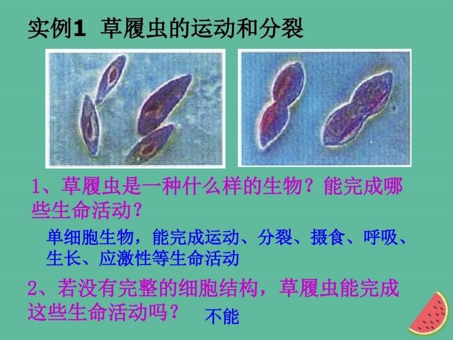 四川省成都市高中生物 第一章 走近细胞 1.1 从生物圈到细胞课件 新人教版必修1_第5页