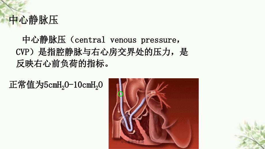 中心静脉压监测课件_第3页