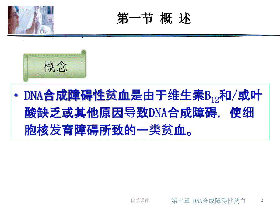 第七章 DNA合成障碍性贫血#高等教育_第2页