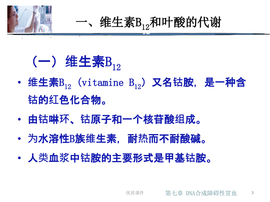 第七章 DNA合成障碍性贫血#高等教育_第3页