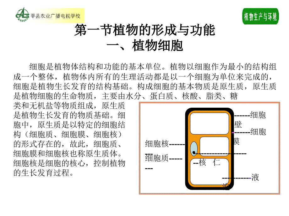 植物生产与环境第一章植物基础知识_第2页