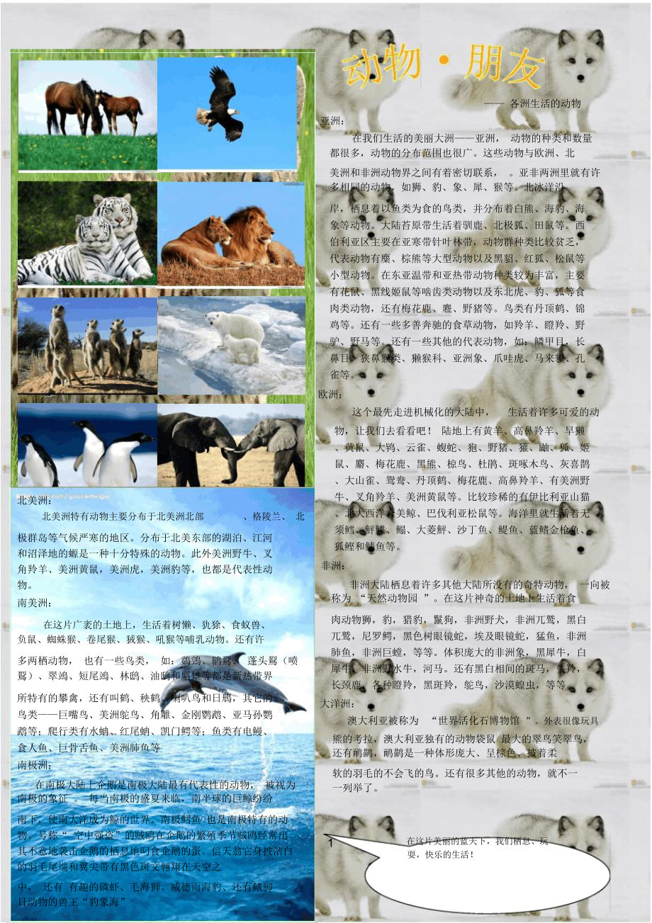 各洲生活的动物精编版_第1页
