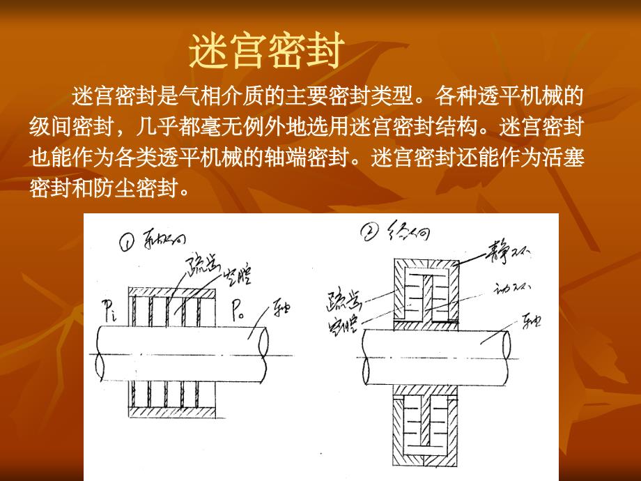 迷宫密封ppt课件_第1页