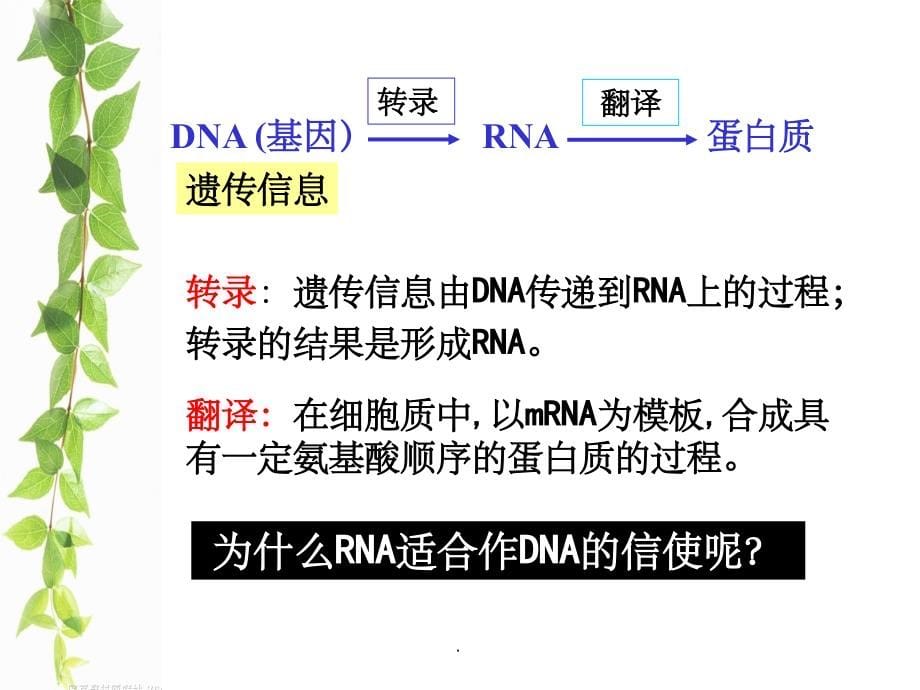 遗传信息的表达 ——RNA和蛋白质的合成PPT课件_第5页