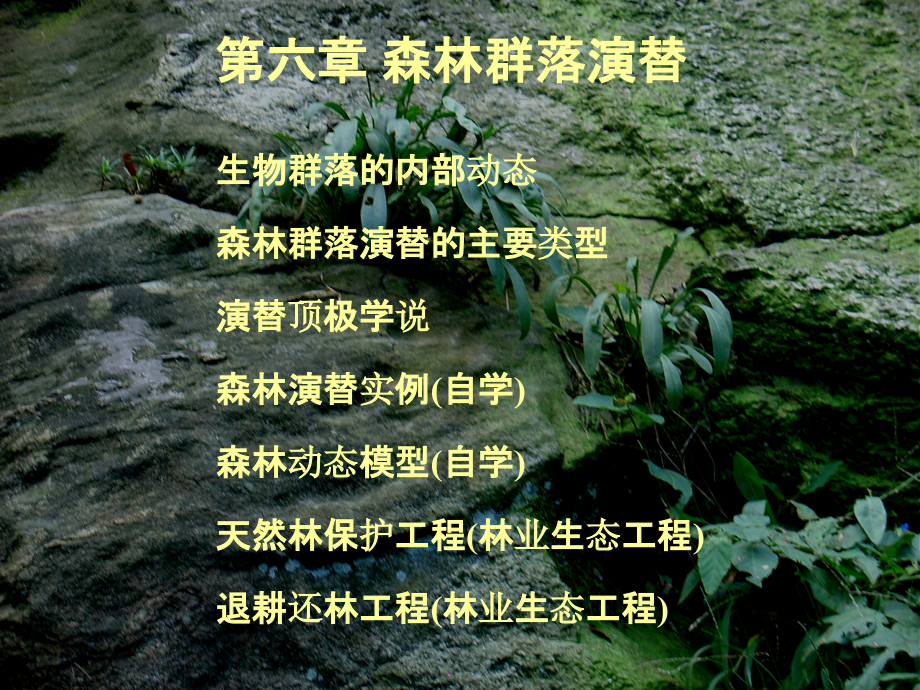 森林群落演替ppt课件_第1页