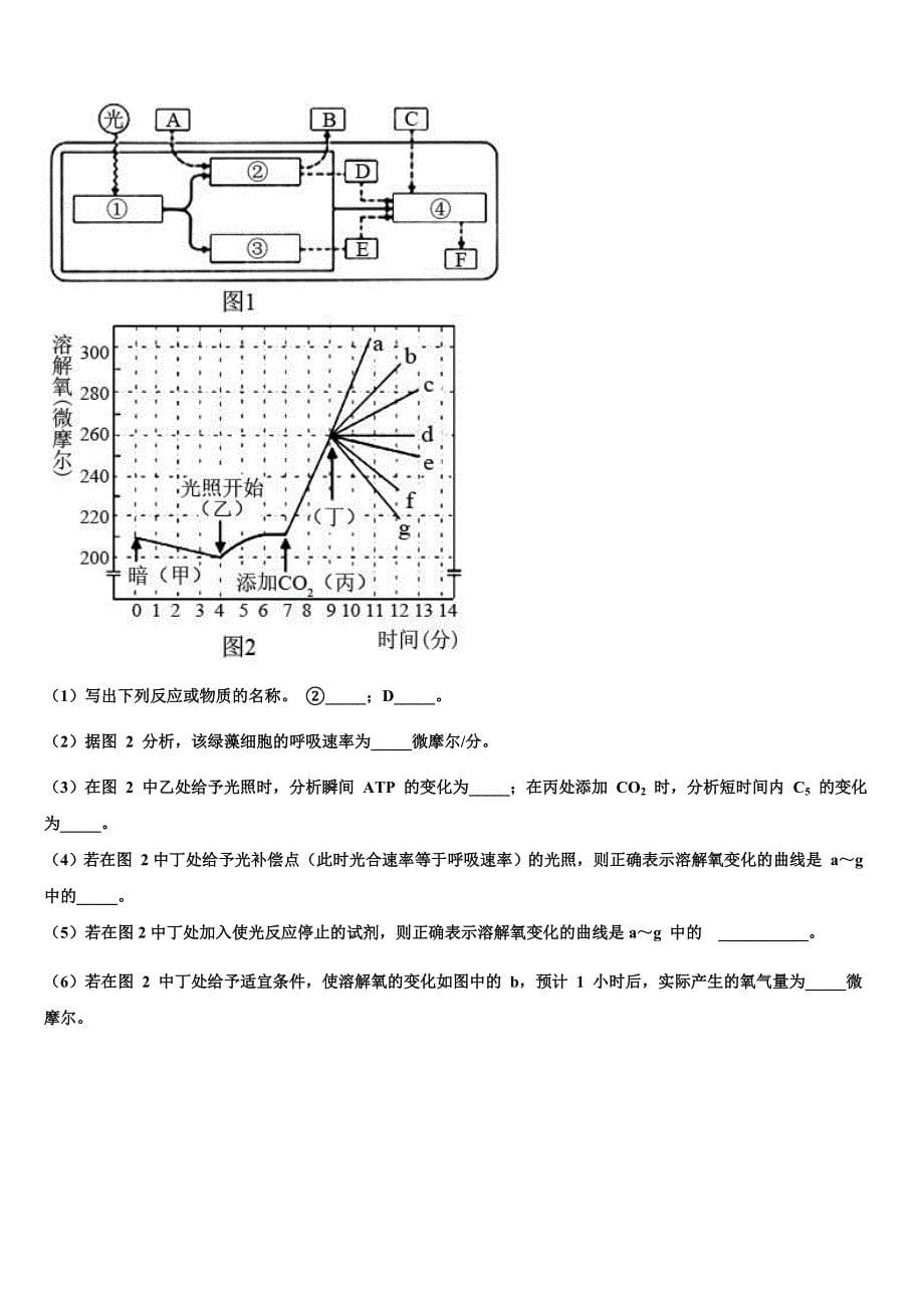 湖南长沙市麓山国际实验学校2022学年高考考前模拟生物试题(含解析）_第5页