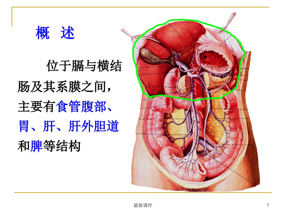 04结肠上区(贺细菊)ppt课件_第3页