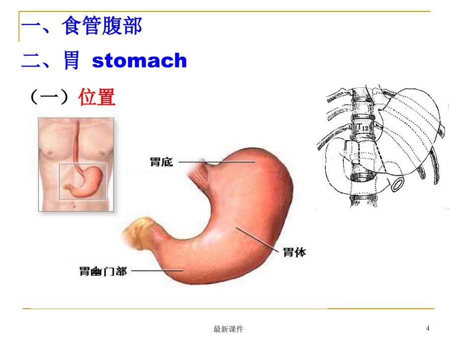 04结肠上区(贺细菊)ppt课件_第4页