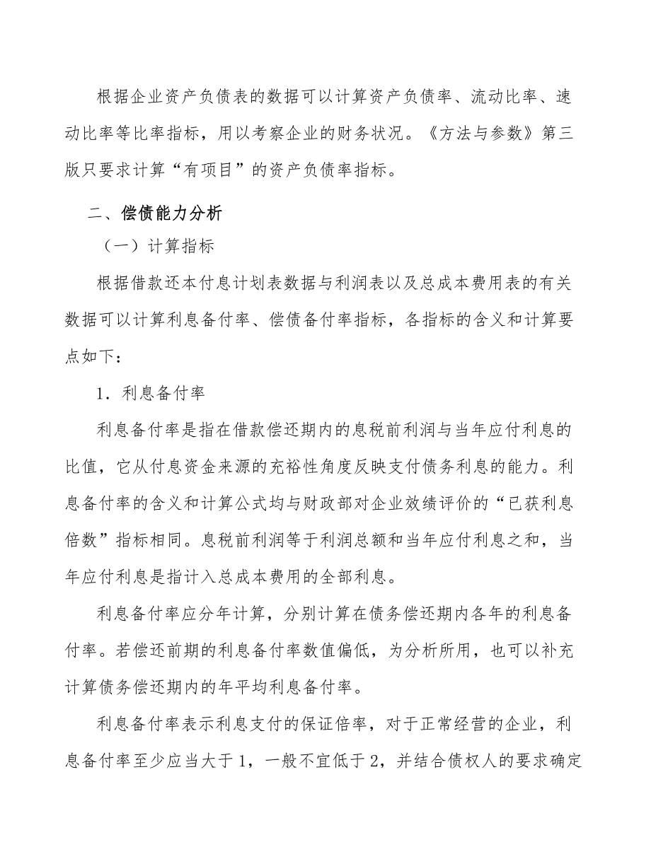 咨询项目偿债能力分析和财务生存能力分析_第5页