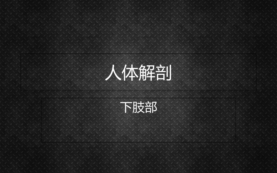 下肢PPT课件_第1页