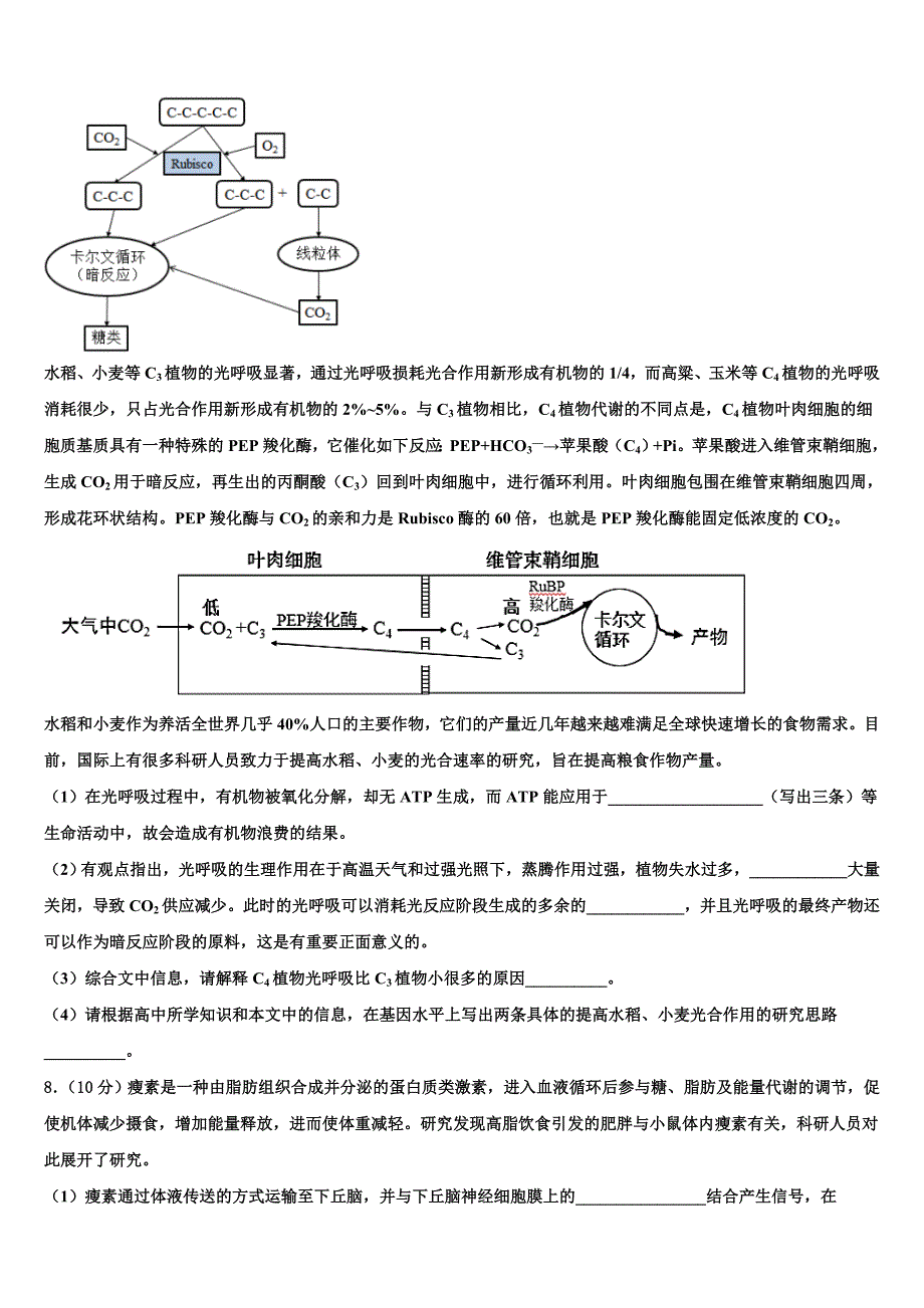 陕西省延安市重点中学2022年高考生物三模试卷(含解析）_第3页