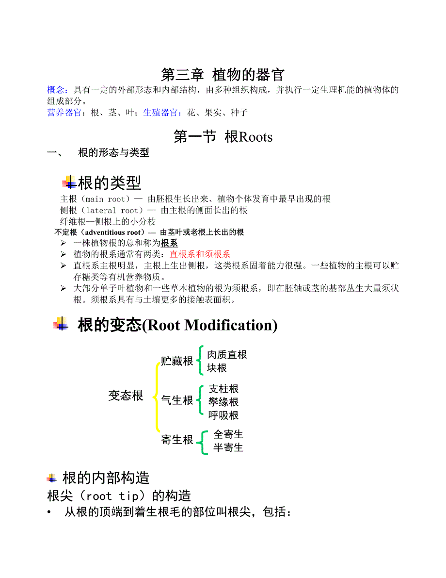 药用植物学—根_第1页