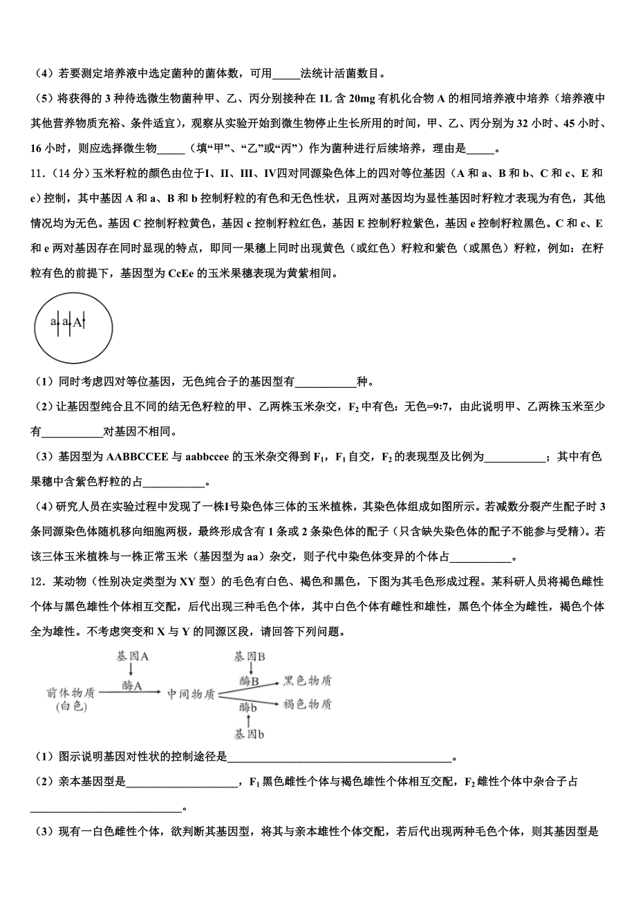 湖南省邵阳市邵东县创新实验学校2022学年高考仿真模拟生物试卷(含解析）_第4页