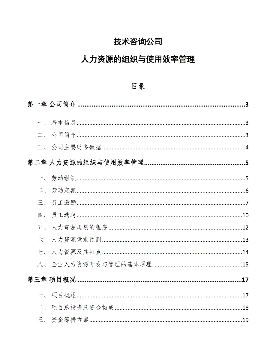 技术咨询公司人力资源的组织与使用效率管理_第1页