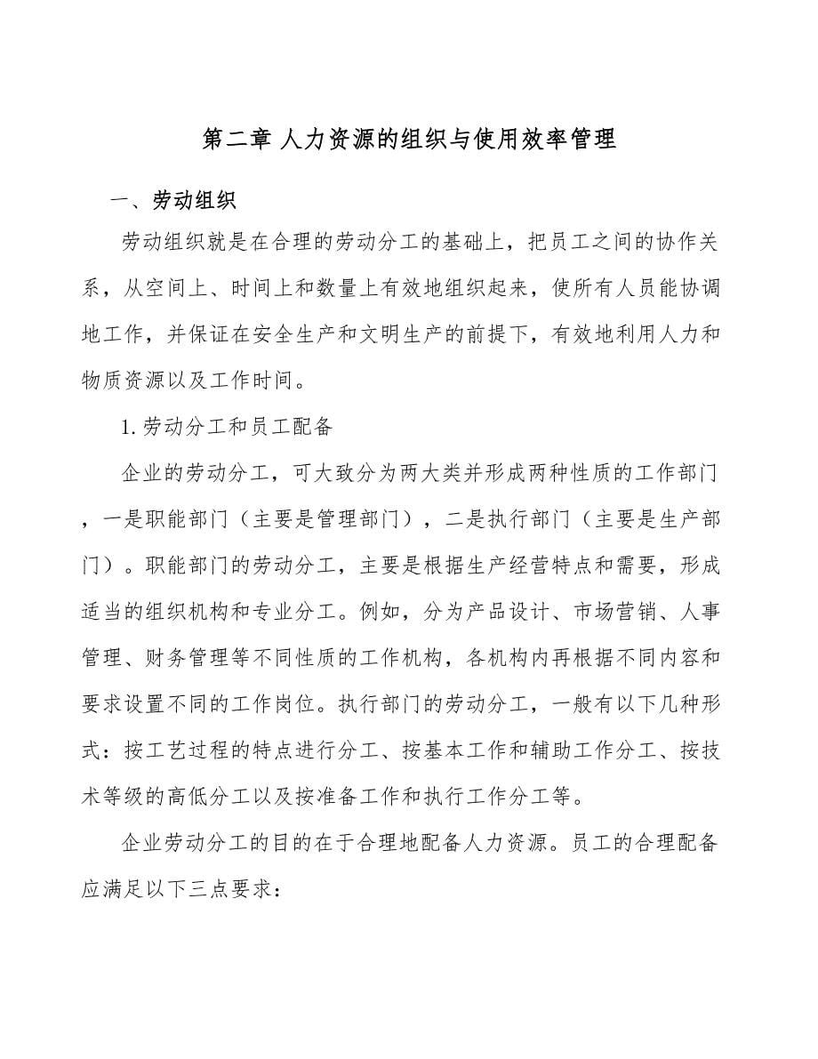 技术咨询公司人力资源的组织与使用效率管理_第5页