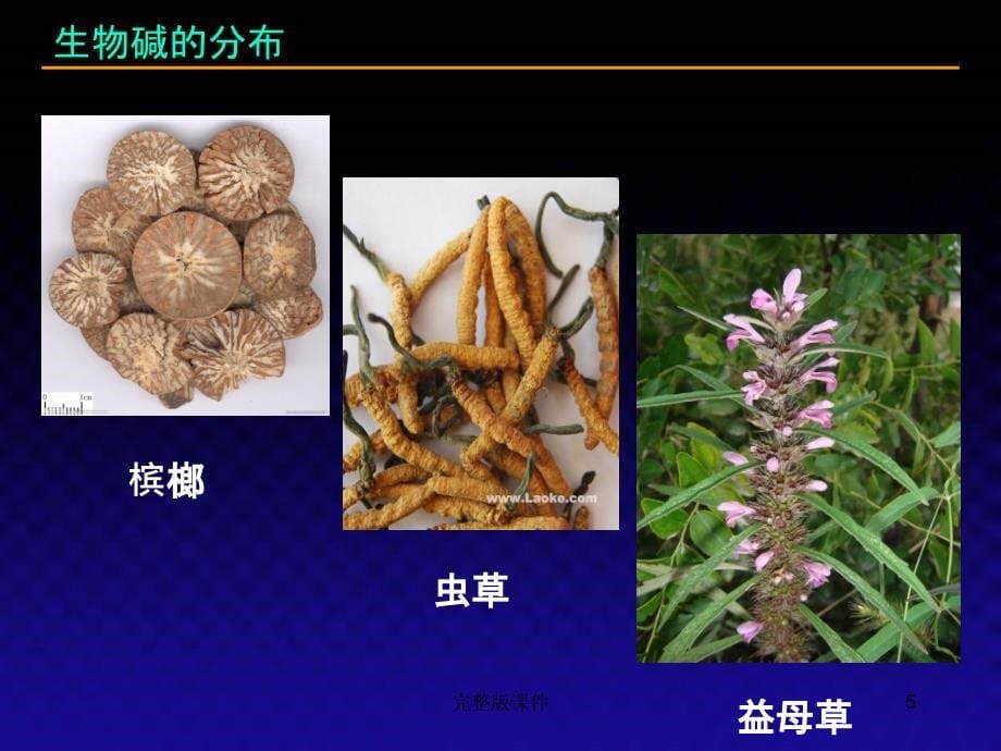 天然药物化学基础第三章第二节PPT课件_第5页