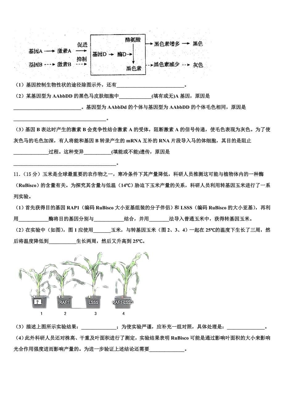 河南省三门峡市陕州区第一高级中学2022学年高考仿真卷生物试卷(含解析）_第5页