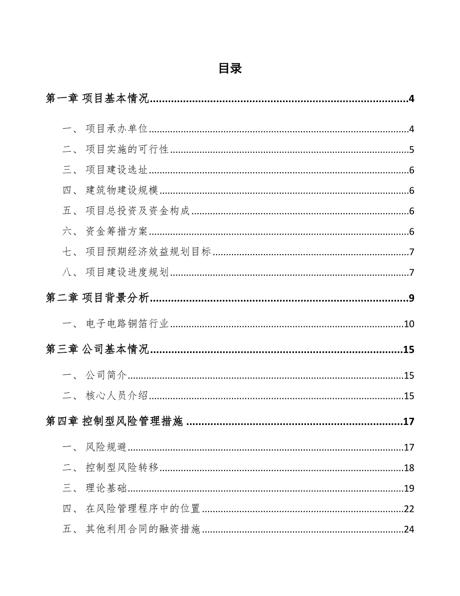 电子电路铜箔公司控制型风险管理措施方案（范文）_第2页