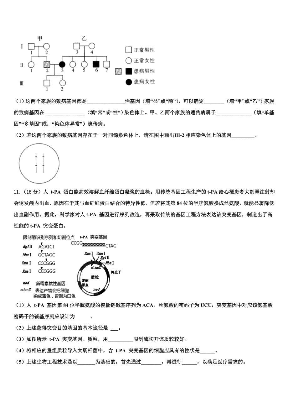 湖北省钢城四中2022年高考生物五模试卷(含解析）_第5页