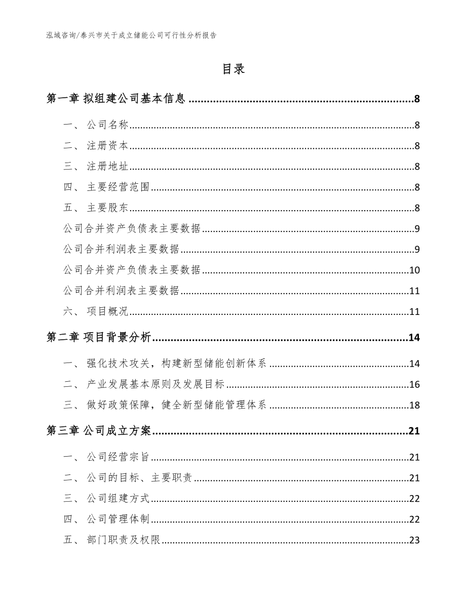 泰兴市关于成立储能公司可行性分析报告模板范本_第2页