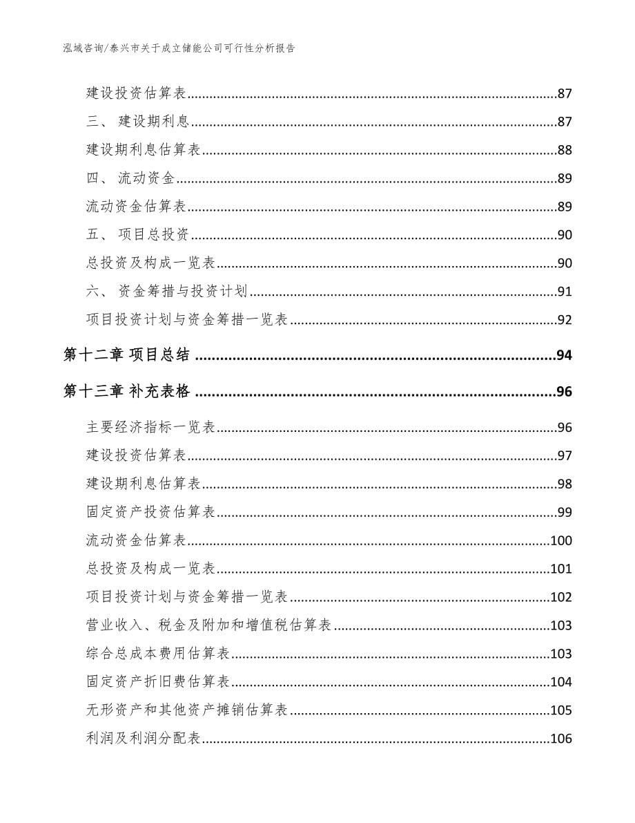 泰兴市关于成立储能公司可行性分析报告模板范本_第5页