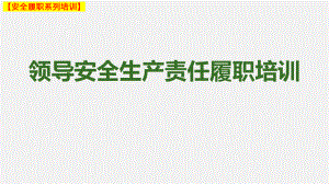 【安全履职系列培训】_企业管理者安全履职培训（22）