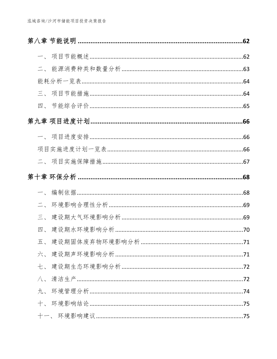 沙河市储能项目投资决策报告（模板）_第3页
