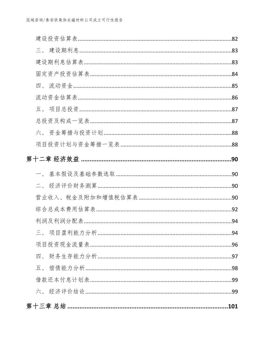 泰安铁氧体永磁材料公司成立可行性报告（参考模板）_第5页