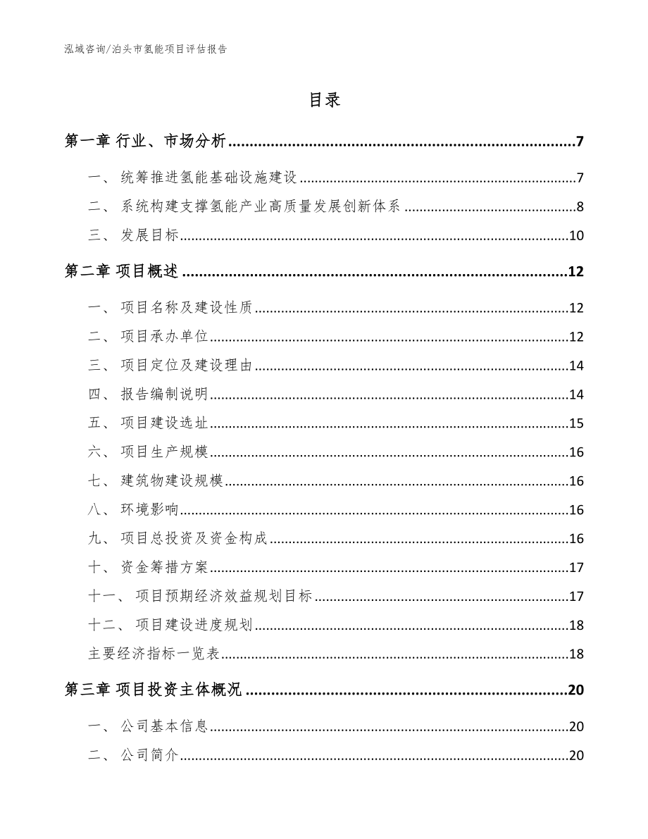 泊头市氢能项目评估报告（模板范文）_第1页