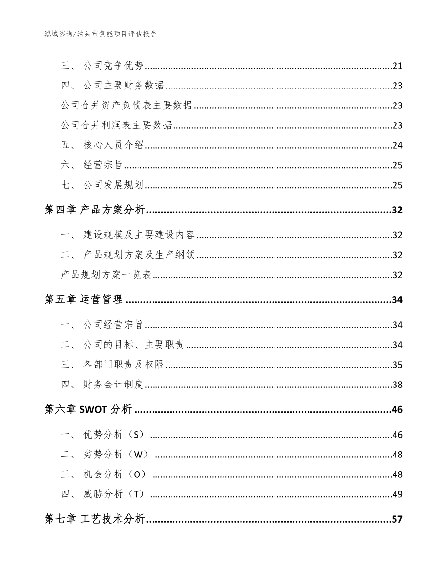 泊头市氢能项目评估报告（模板范文）_第2页