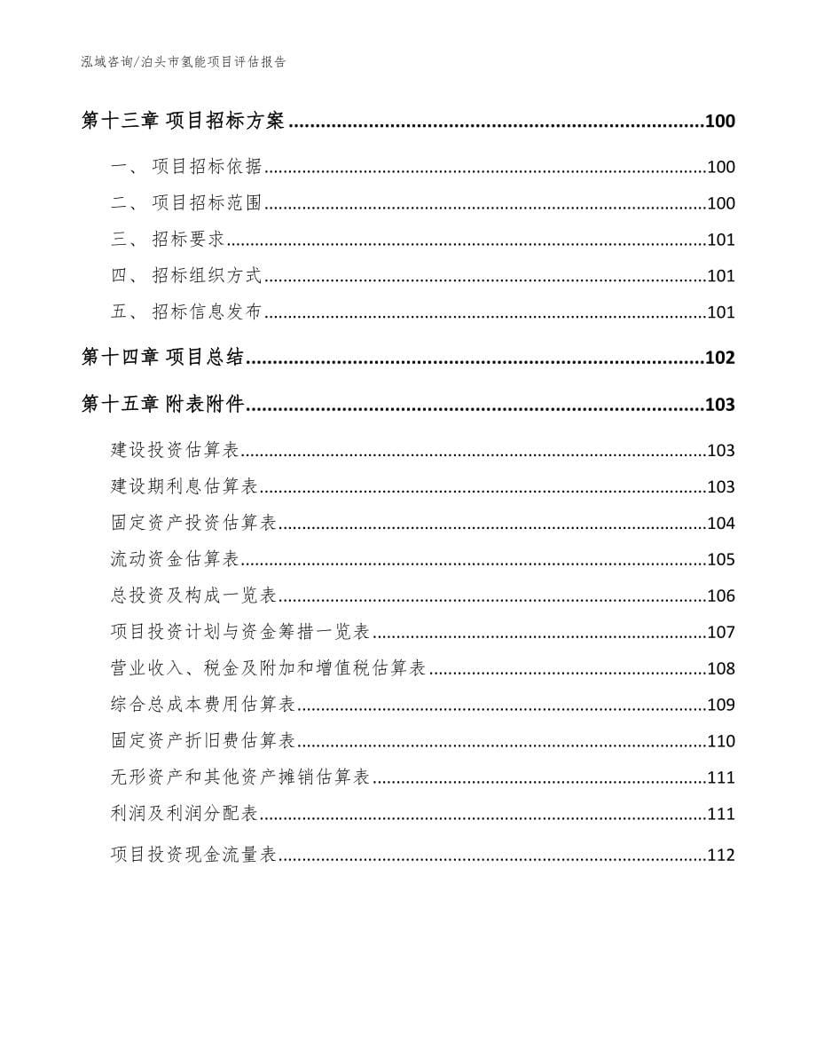 泊头市氢能项目评估报告（模板范文）_第5页