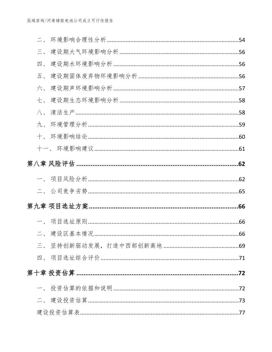 河南储能电池公司成立可行性报告【参考模板】_第5页