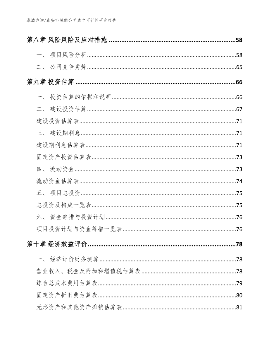 泰安市氢能公司成立可行性研究报告【范文参考】_第4页