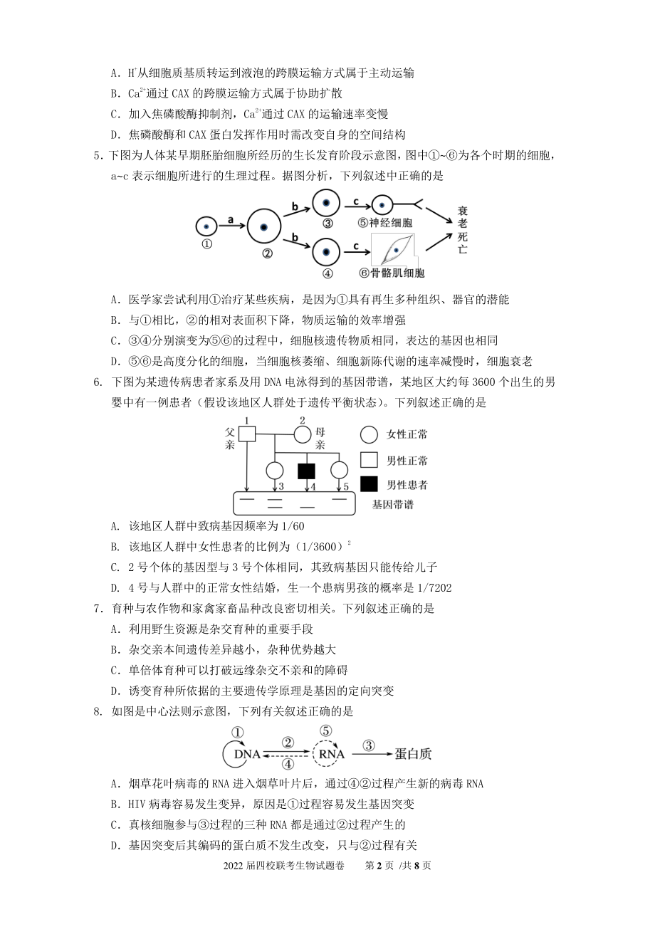 四校联考生物试题_第2页