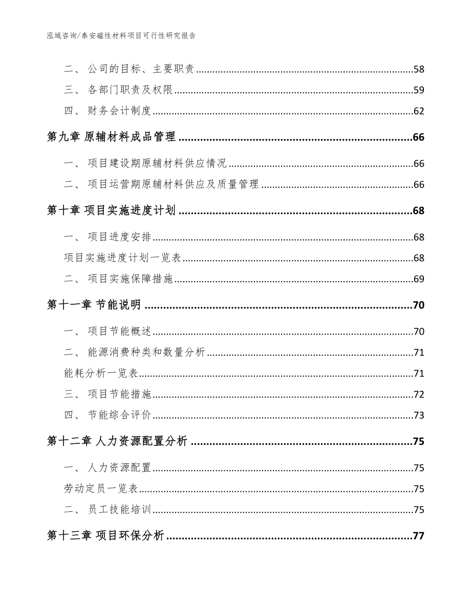 泰安磁性材料项目可行性研究报告参考范文_第4页