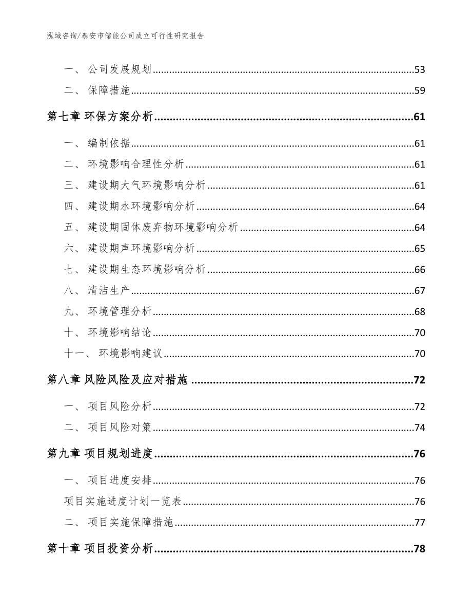 泰安市储能公司成立可行性研究报告【参考模板】_第5页