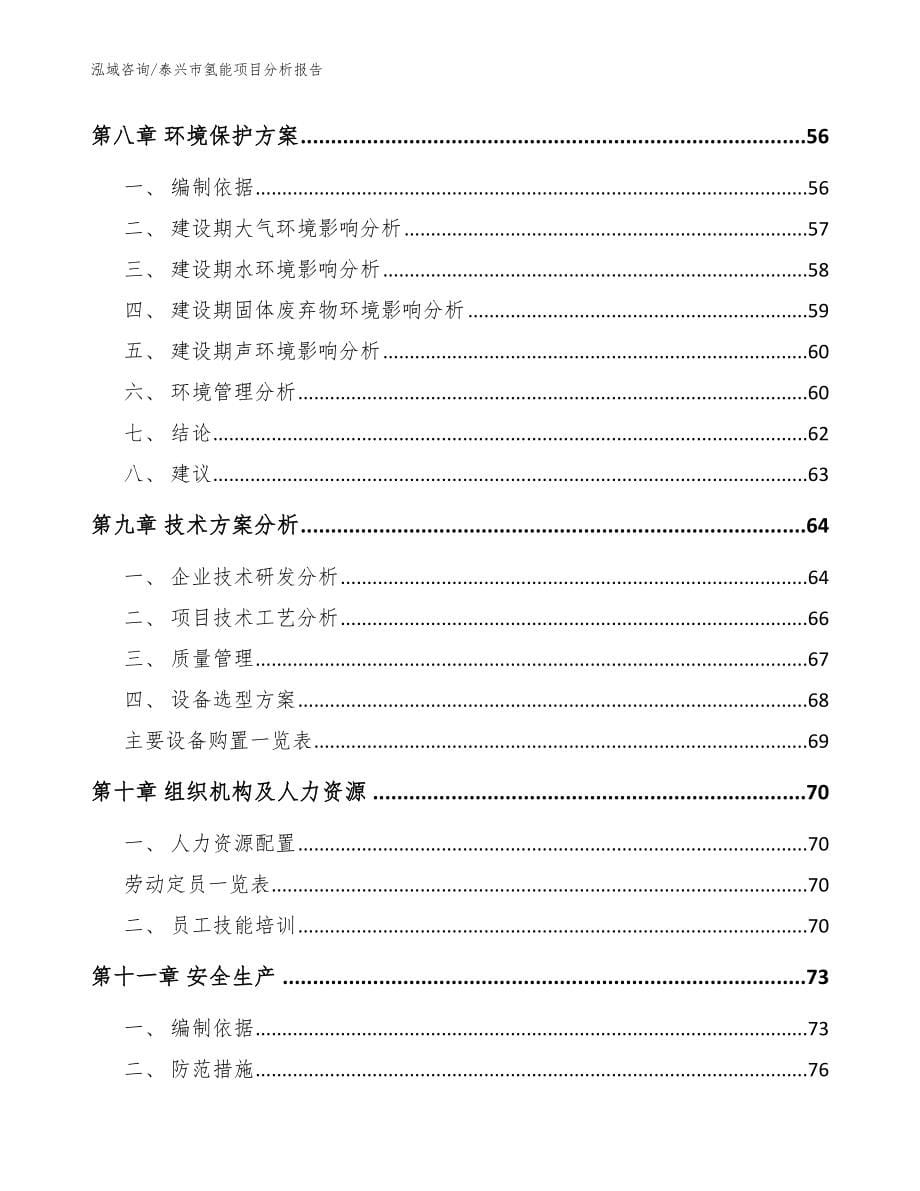 泰兴市氢能项目分析报告_模板参考_第5页