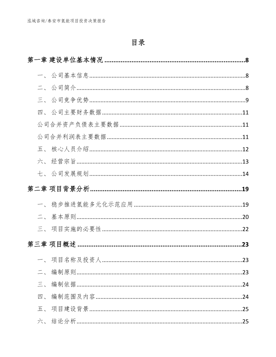 泰安市氢能项目投资决策报告_范文参考_第1页