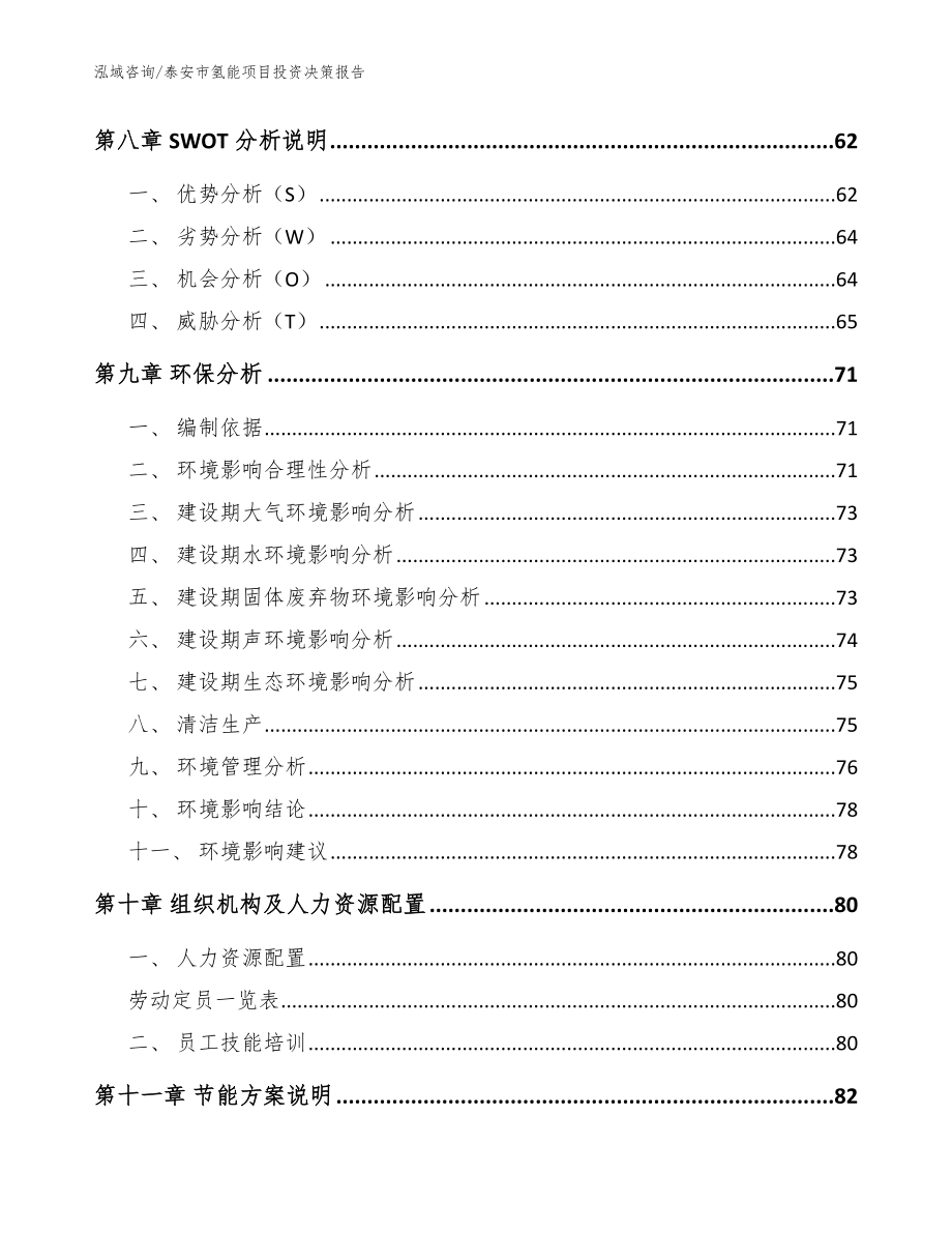 泰安市氢能项目投资决策报告_范文参考_第3页