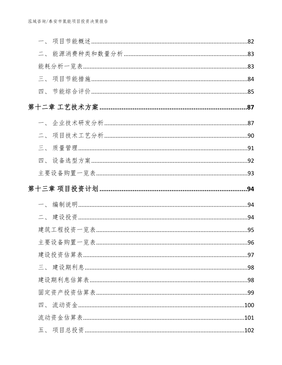 泰安市氢能项目投资决策报告_范文参考_第4页