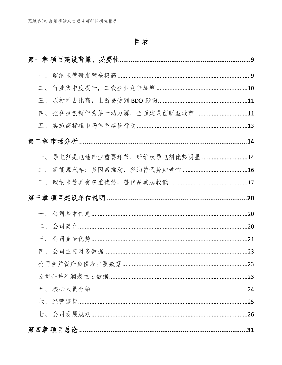 泉州碳纳米管项目可行性研究报告参考范文_第2页