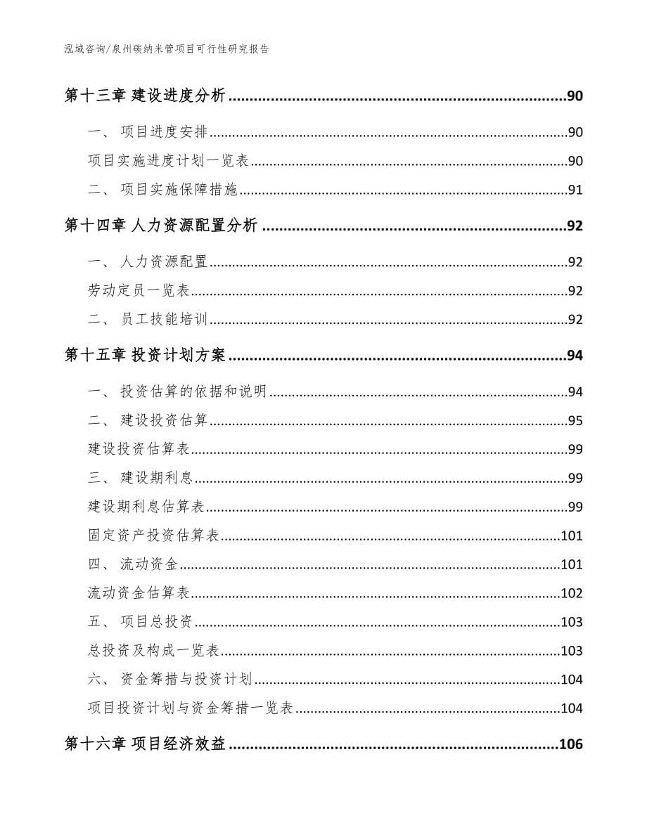 泉州碳纳米管项目可行性研究报告参考范文_第5页