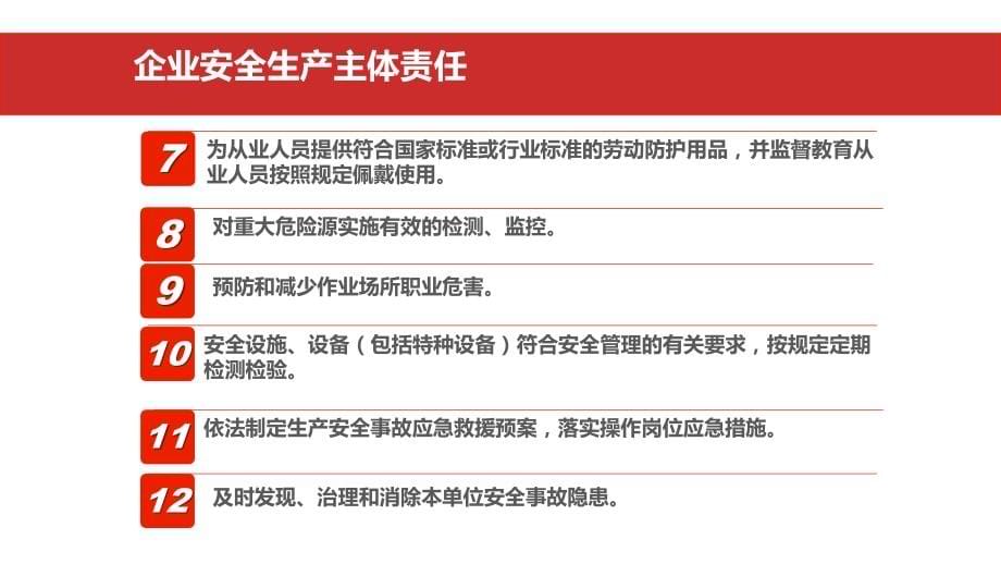 【安全履职系列培训】_企业安全生产主体责任落实专题培训（145）_第5页