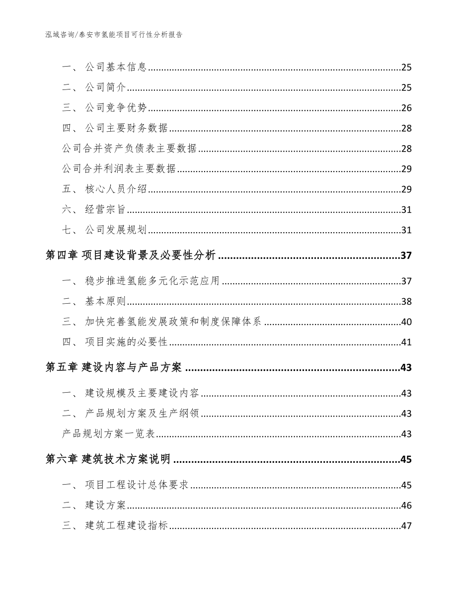 泰安市氢能项目可行性分析报告模板范文_第3页