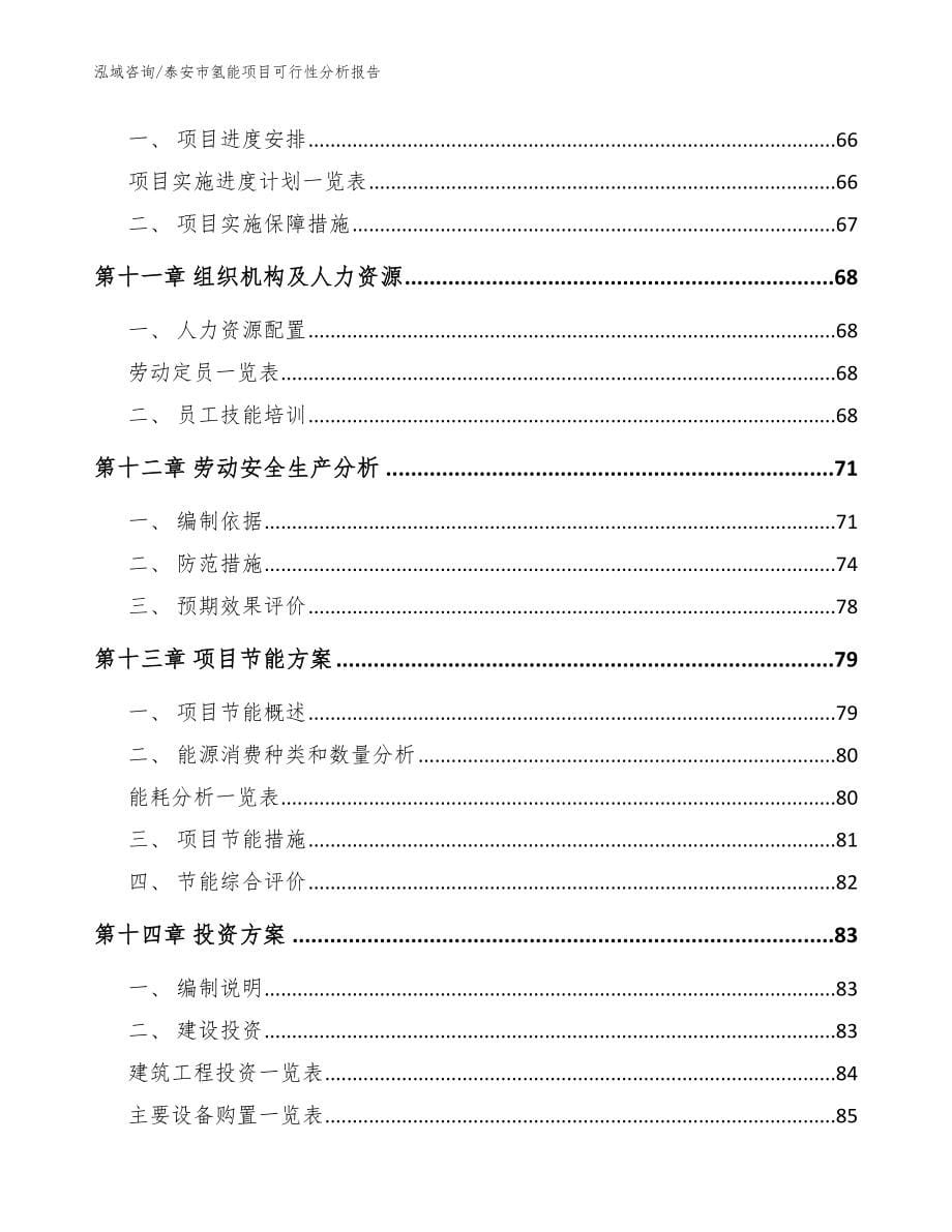 泰安市氢能项目可行性分析报告模板范文_第5页